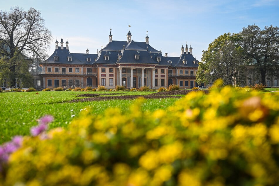 Der Park von Schloss Pillnitz.