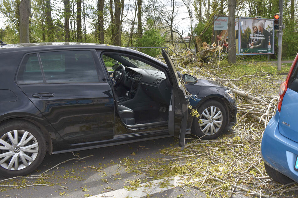 Verletzt wurde durch den herabfallenden Baum glücklicherweise niemand.