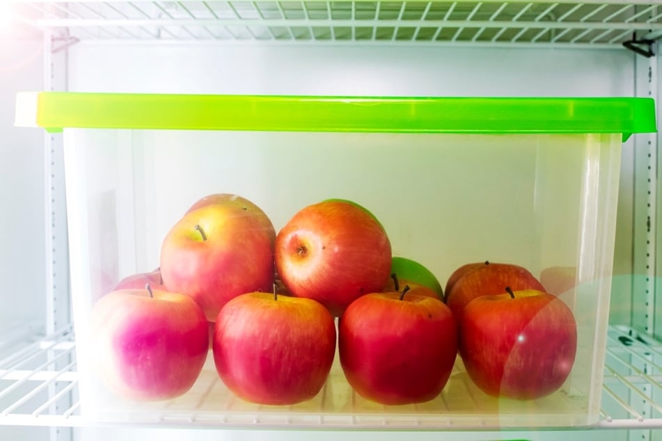Kleine Mengen Äpfel kann man im Kühlschrank lagern.