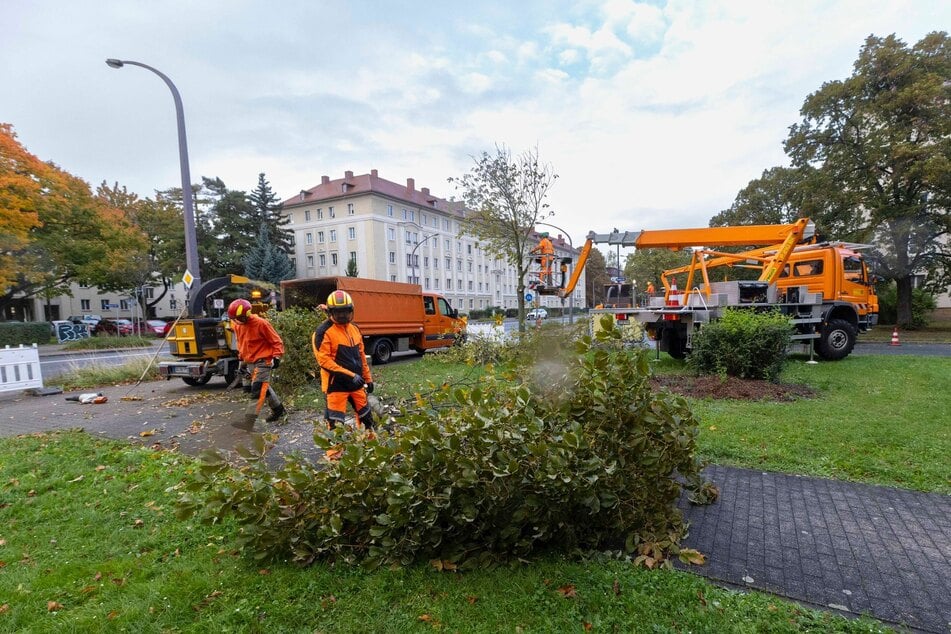 Grund sind die Vorbereitungen des Mammutprojektes Nossener Brücke.