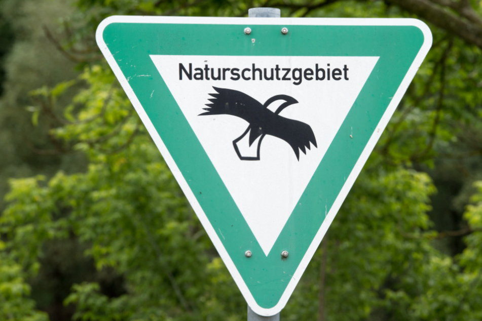 Die entsprechende Fauna-Flora-Habitat-Richtlinie der Europäischen Union stammt aus dem Jahr 1992. (Symbolbild)