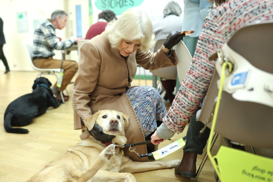 Hunde haben im britischen Königshaus eine lange Tradition.