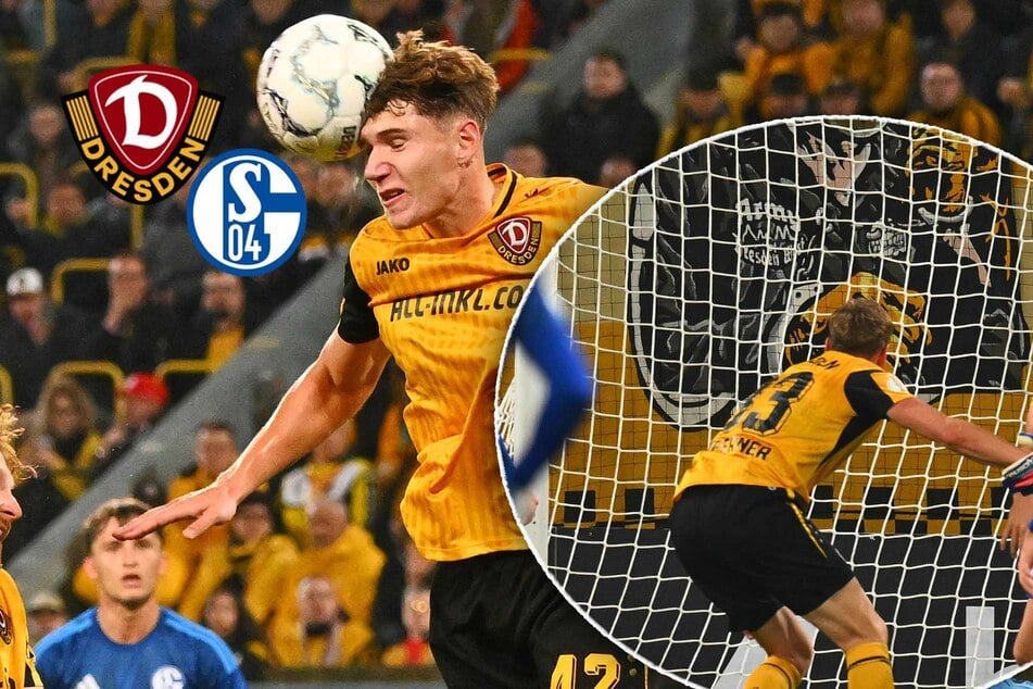 Dynamo glänzt gegen Schalke: Bestnoten für die Abwehr, Daferner köpft zur Befreiung