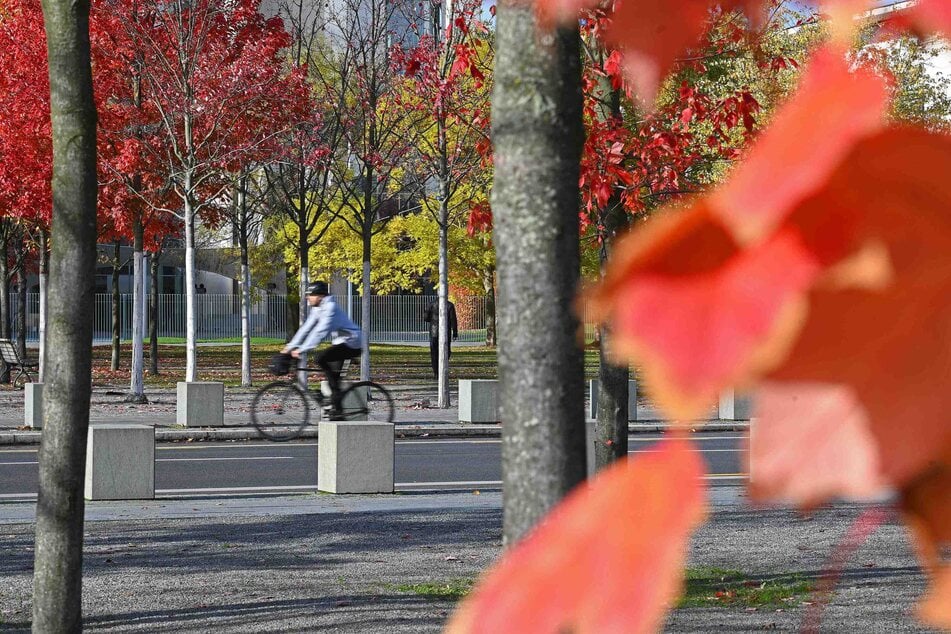 Am Donnerstag heißt es in Berlin und Brandenburg: Sonne satt!