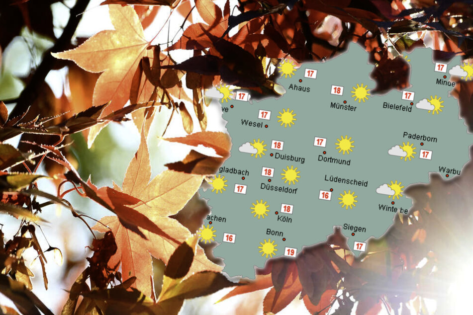 Viel Sonne und bis zu 19 Grad: NRW erwartet schönes Herbstwetter