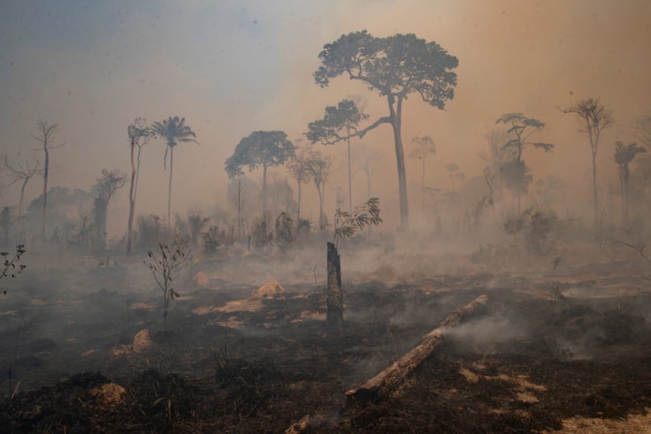 Brasilien, Novo Progresso: Rauch steigt während eines Brandes im Amazonas-Gebiet auf.
