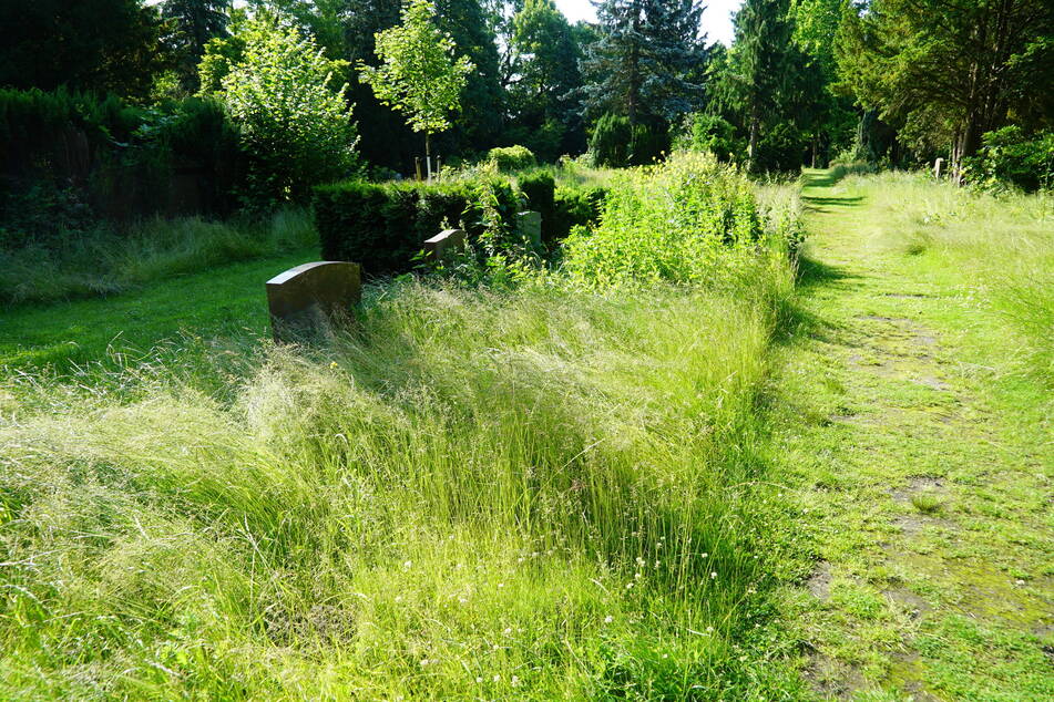 Viele Gräber sind auf dem Friedhof bereits mit Gras überwuchert.