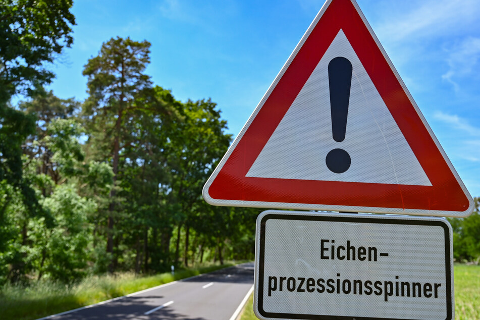 In ganz NRW wird vor den gesundheitsgefährdenden Raupen gewarnt.