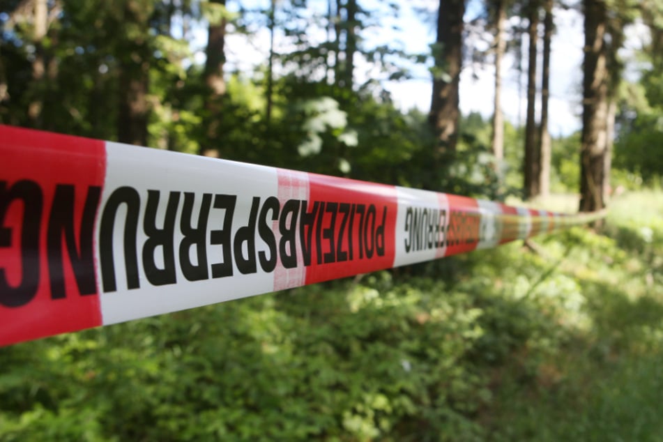 Pilzsammler entdeckten die Überreste der Frau im Wald.
