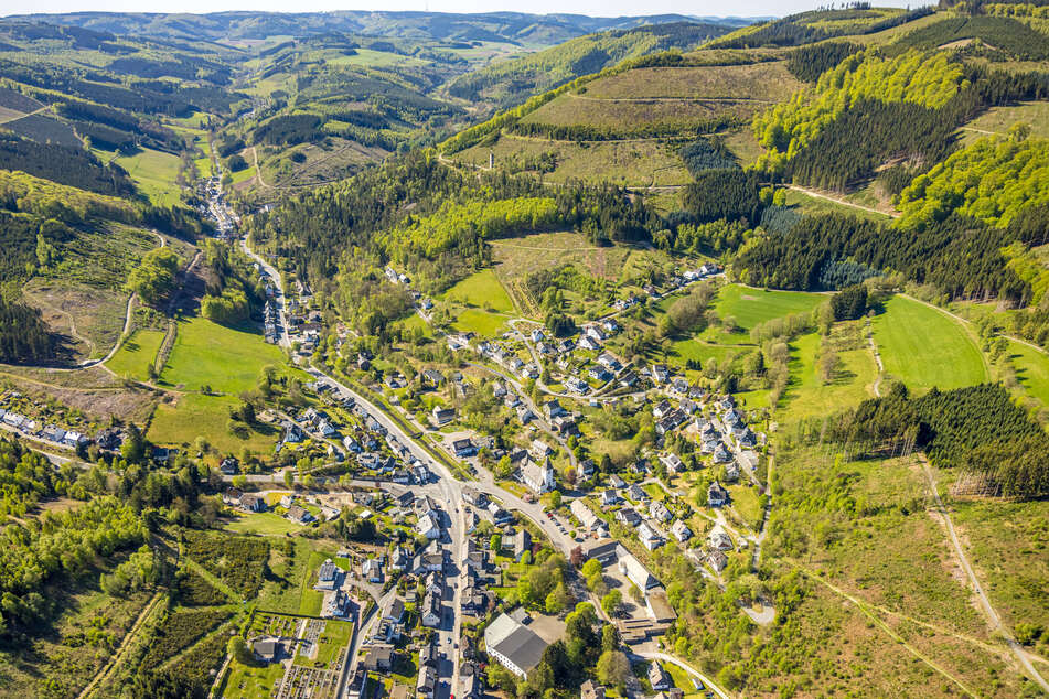 Ramsbeck liegt im Sauerland, eine Montanregion wie das Erzgebirge. Hier steht die Nordmanntanne - noch.