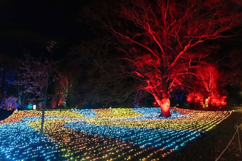In jeder Form und Farbe erstrahlten die Lichter.