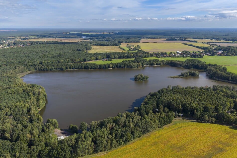 Immerhin hat Sachsens größter Angelteich, der Großteich See bei Niesky, noch Wasser.