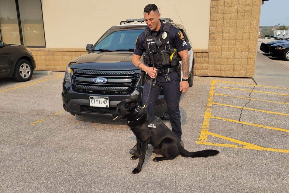 Normalerweise bildet die Hundestaffel des RCPD keine Ziegen aus. Ein Versuch konnte zumindest zeigen, dass sich die Tiere nicht allzu gut für den Polizeieinsatz eignen ...