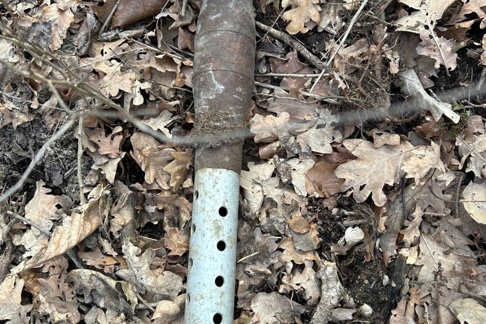 Im Wald lagen drei Mörsergranaten.