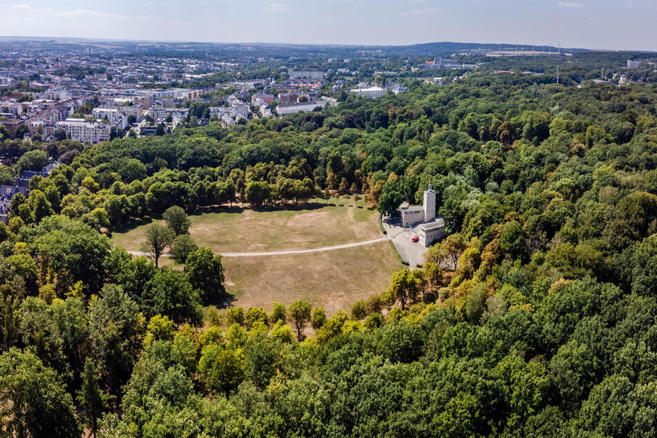 Für eine Baumaßnahme im Chemnitzer Küchwald müssen Bäume gefällt werden. (Archivbild)