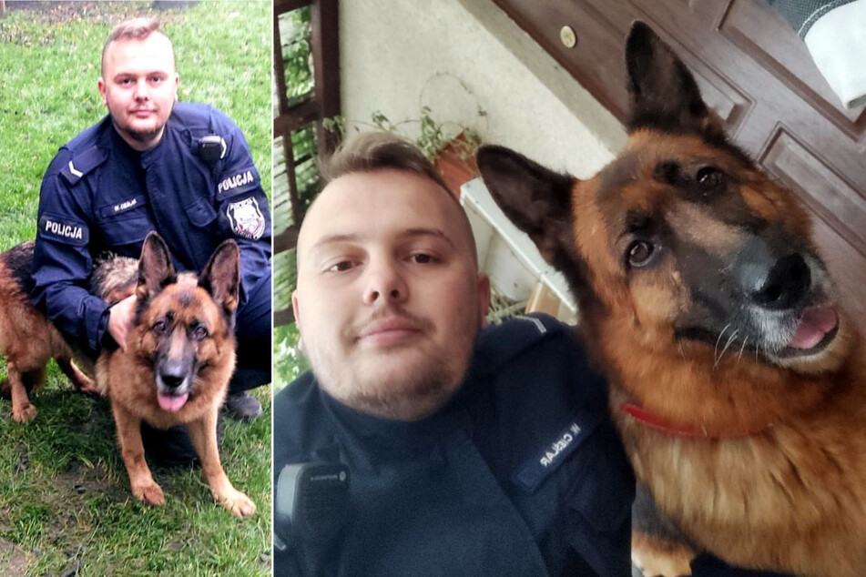 Polizist ist vom traurigen Schicksal dieses Hundes gerührt, dann trifft er eine Entscheidung