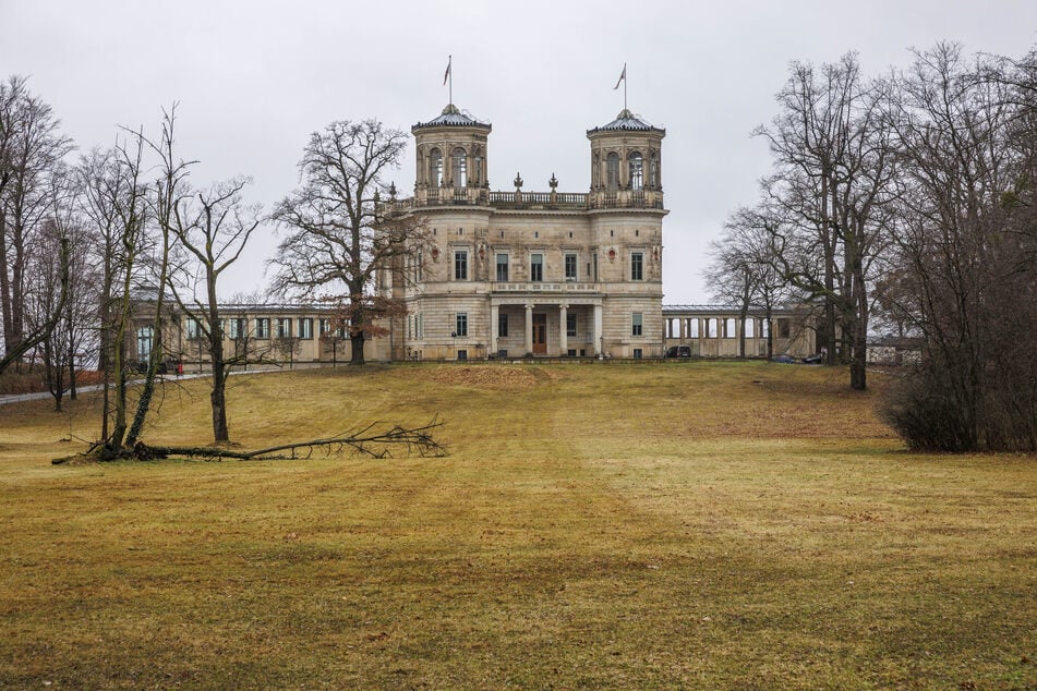 Das KiKiLi im Lingnerschloss zeigt am Sonntag das mausige Programm "Von blauen und schlauen Mäusen".