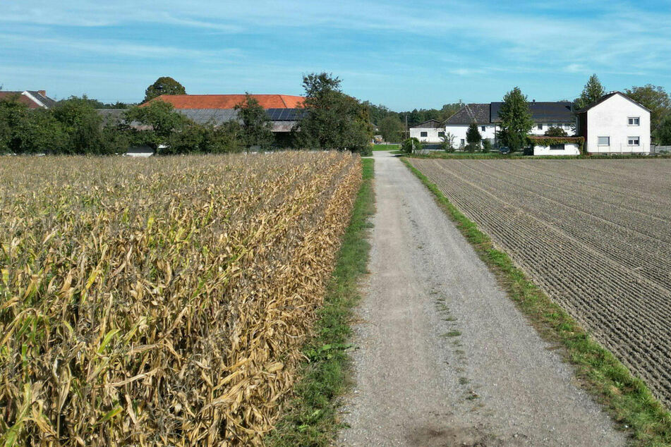 Auf diesem Feldweg rund 30 Kilometer von Linz entfernt wurde die Joggerin angefallen.