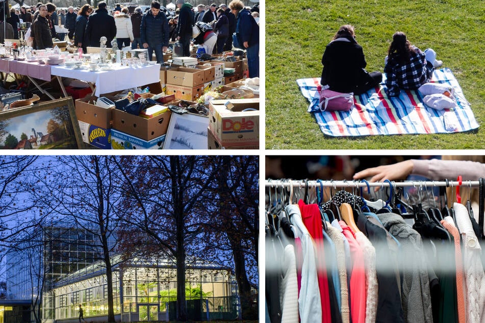 Sommerfeste, Flohmarkt, Abendveranstaltungen: Das könnt Ihr am Samstag in Magdeburg erleben!