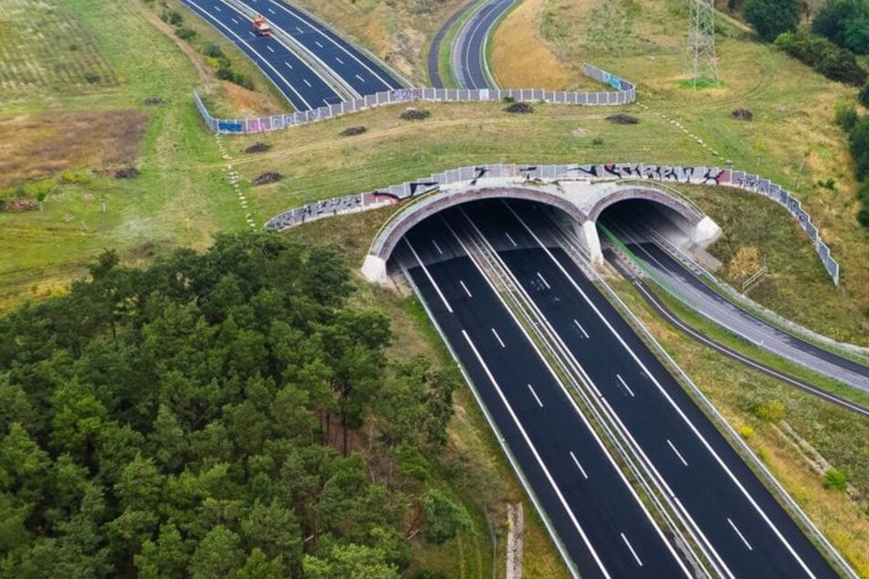 Risse entdeckt: B101 wegen Schäden an Brücke voll gesperrt