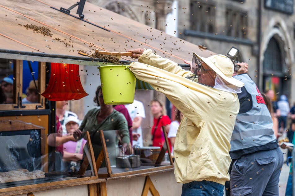 Imker Klaus Schmidt entfernt auf dem Hutfestival am Sonntag einen Bienenschwarm vom Dach eines Stands.