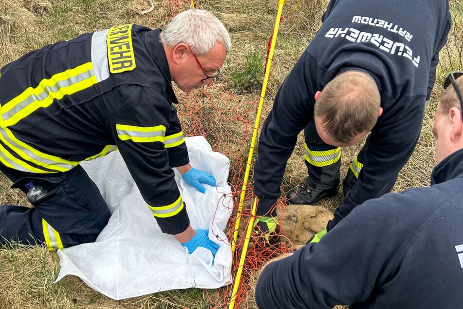 Bei ihrem neuesten Einsatz musste sich die Freiwillige Feuerwehr Rathenow einmal nicht um einen Brand kümmern.