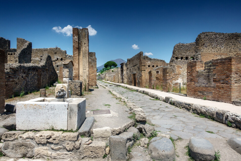 To date, no dead cats have been discovered in the ruins of Pompeii.