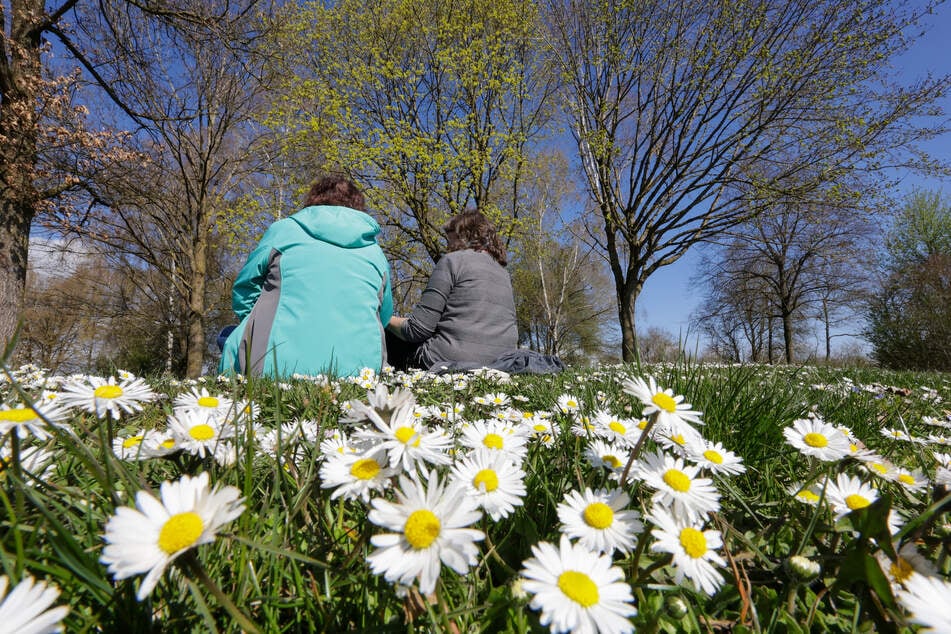 Erst Frost, dann Frühling! Köln knackt die 20-Grad-Marke