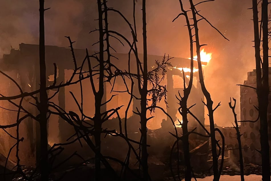Berlin: Nächtlicher Brand in Blankenfelde: Feuerwehr rettet Koikarpfen