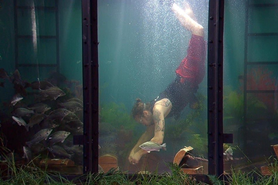 Gil muss in der Dschungelprüfung untertauchen.