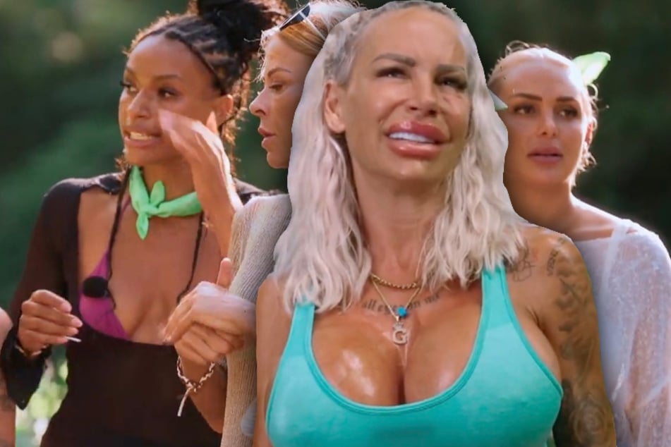 Reality-Queen als lügender "Teufel" beschimpft: Droht jetzt eine Anzeige als Konsequenz?