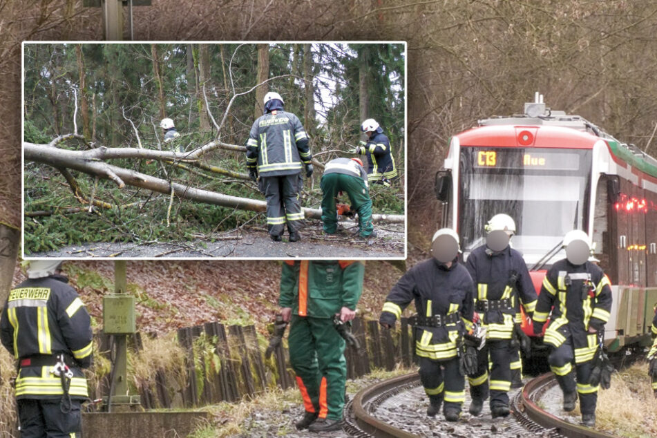 Sturmtief "Zoltan" zieht über Sachsen: Bäume umgekippt, Zugstrecke lahmgelegt!