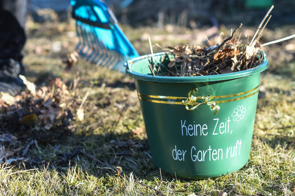 Wissenschaftler aus Brandenburg wollen Urindünger im Garten testen lassen. (Symbolbild)