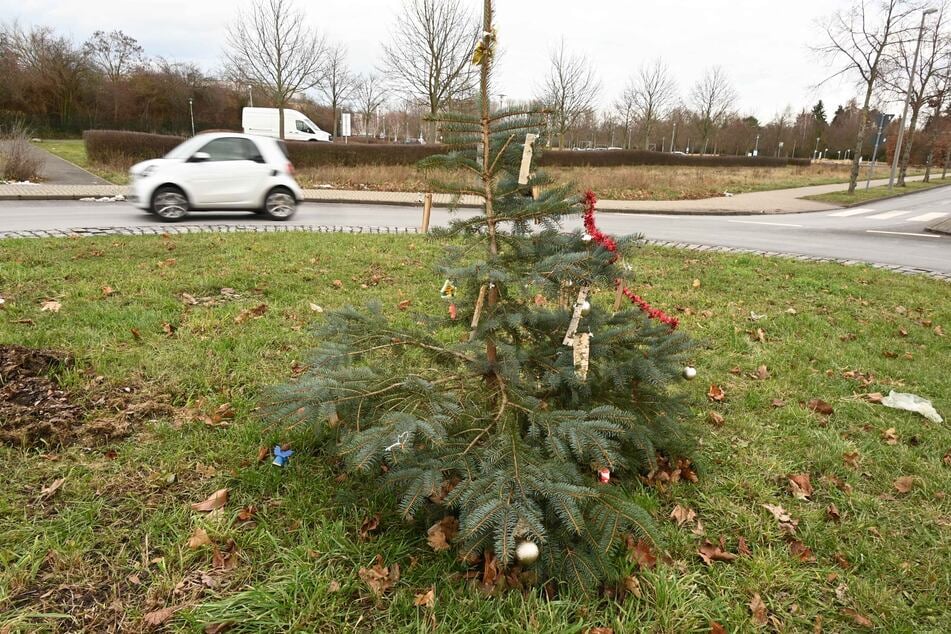 Dieser Weihnachtsbaum schmückt seit jüngstem den Kreisverkehr in der Russenstraße.