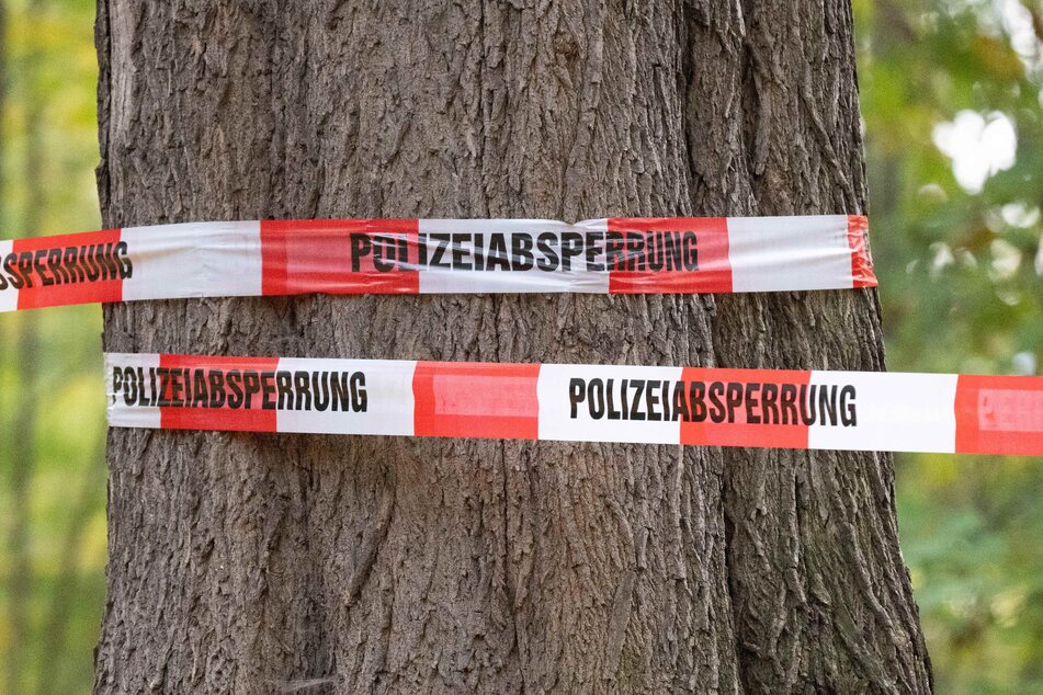 Fußgänger findet Leiche am Rhein in Hockenheim: Kriminalpolizei ermittelt