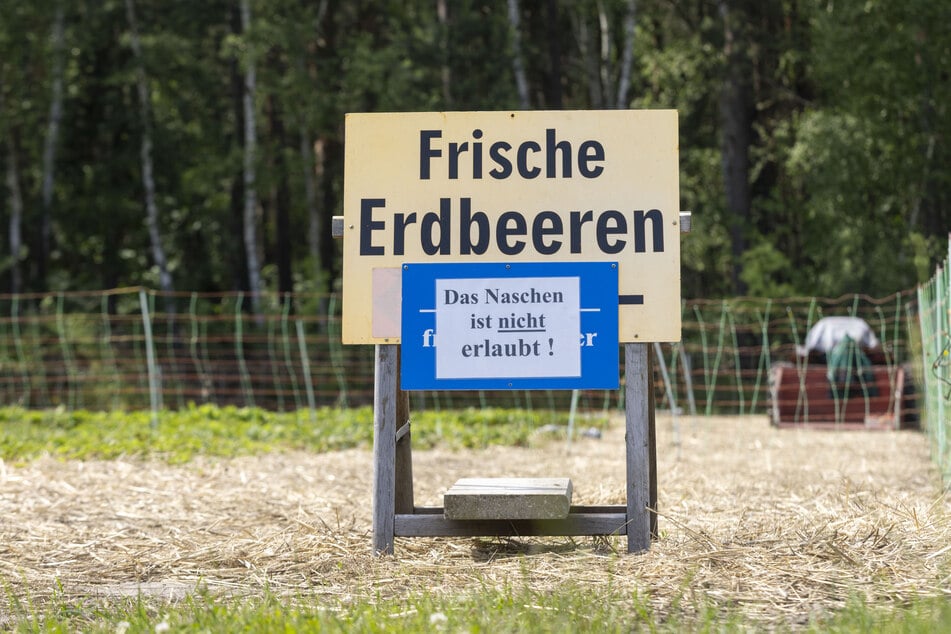 Hier darf nicht genascht werden.