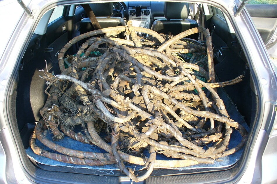 Regelmäßig kommt es zum Diebstahl von Kupferkabeln. Hier wurden 200 Kilogramm in einem polnischen Mazda entdeckt.