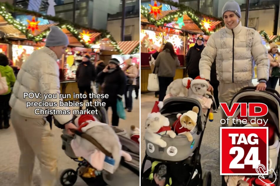 A woman asked to see a man's "babies" at a Chicago Christmas market... and what he revealed had the whole internet melting.