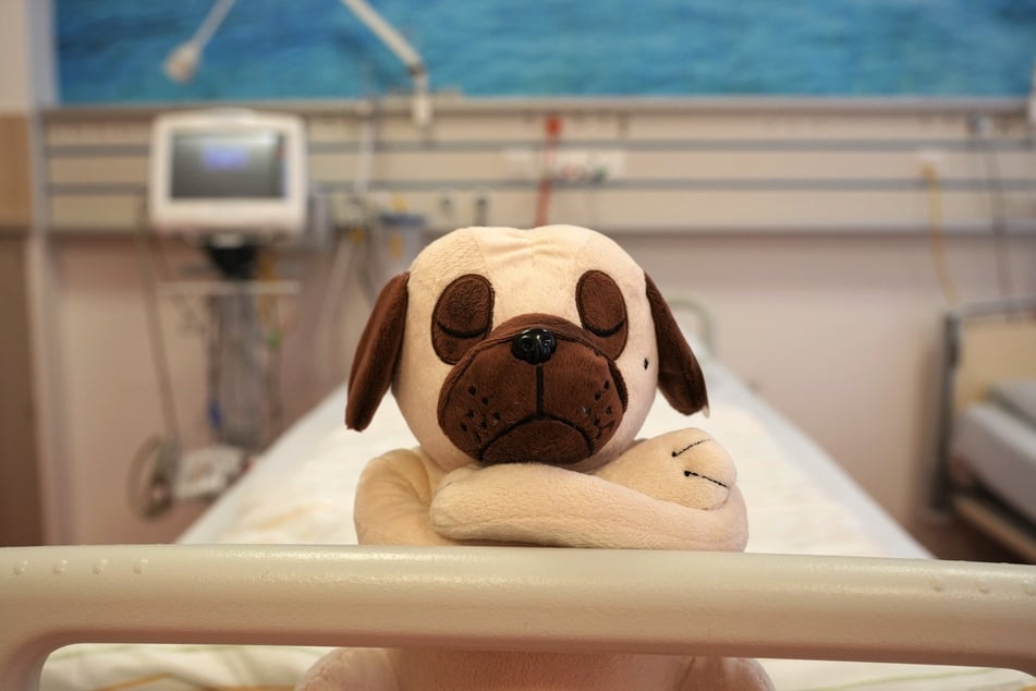 Auch ein Plüschtier darf nicht fehlen.