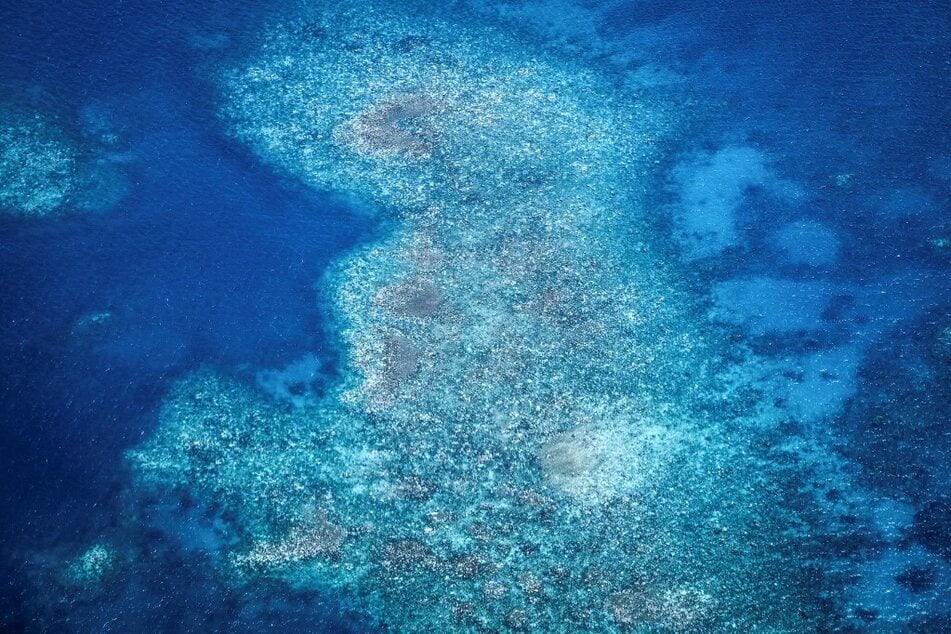 An aerial photo shows bleached and dead coral around Lizard Island on the Great Barrier Reef.