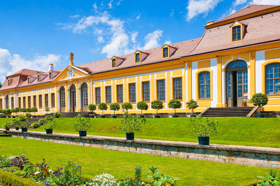 Wenn Ihr erfahren wollt, warum der Barockgarten Großsedlitz auch "Sachsens Versailles" genannt wird, seid Ihr bei der Parkführung am Sonntag richtig.