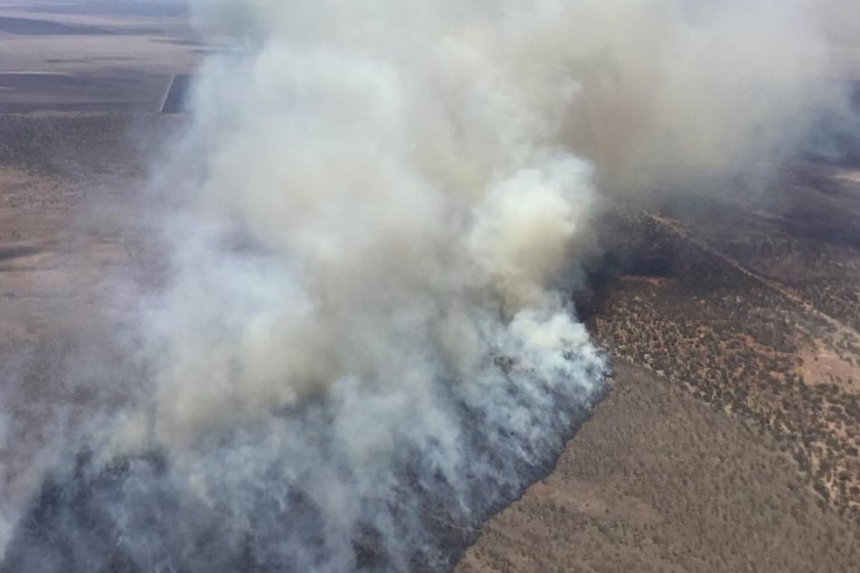 Das Hudson-Buschfeuer hat bereits eine Fläche von 21.000 Hektar verbrannt und sechs Gebäude beschädigt.