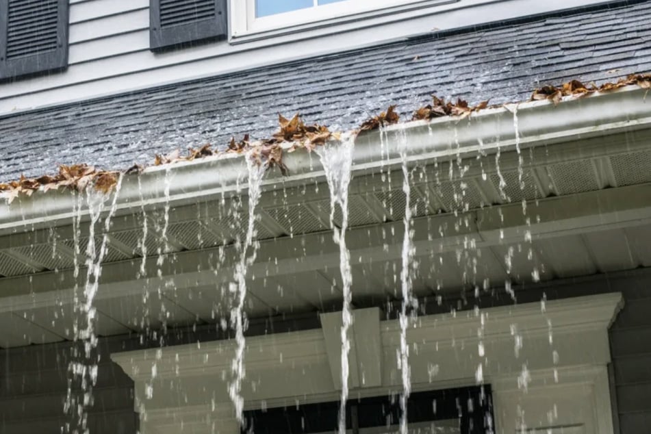 The Hidden Threat On Your Roof (And How to Stop It Before It Costs You)