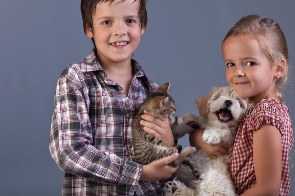10 beliebte Haustiere für Kinder im Check