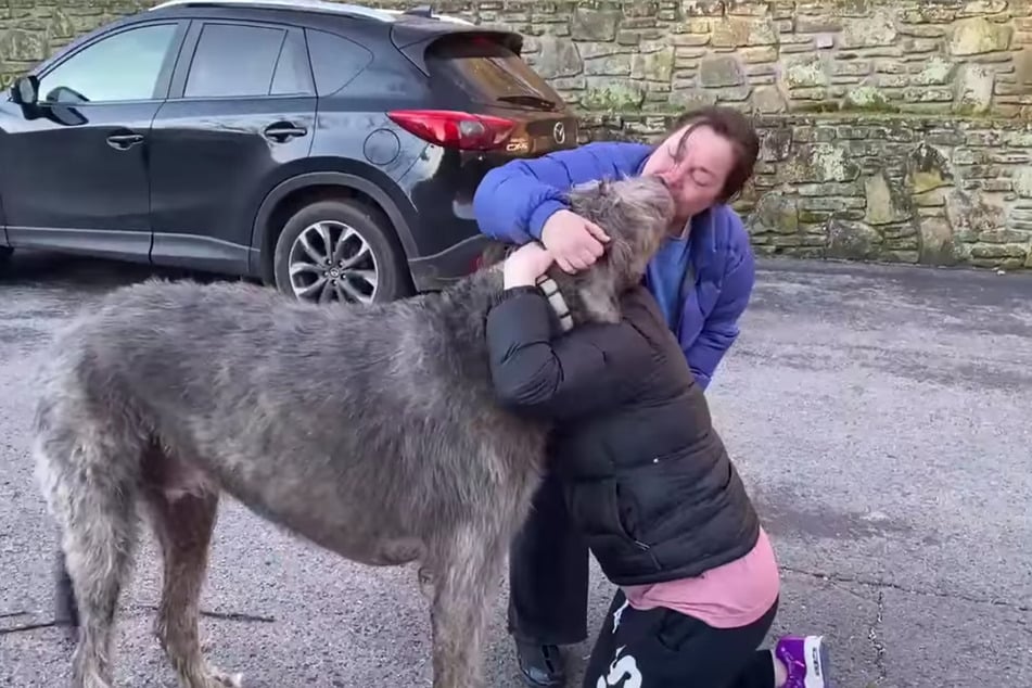 Fergus and Meredith Luckett were flooded with relief to be reunited.