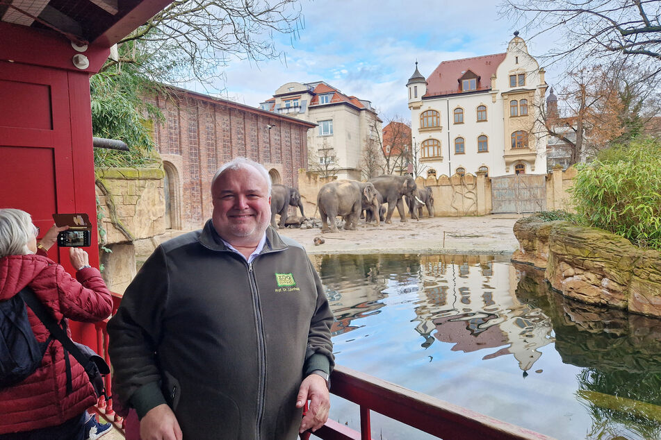 Normalerweise ist Jörg Junhold (58) bei den Elefanten oder anderen Tieren im Zoo anzutreffen.