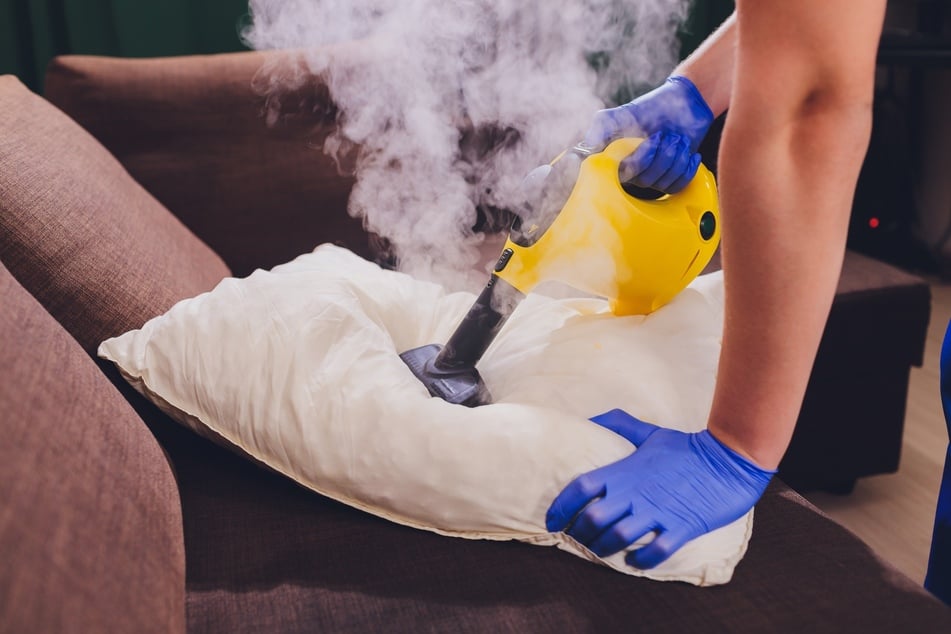 Mit einem Dampfreiniger kann man von Teppichkäfern befallene Polstermöbel reinigen.