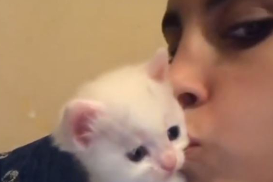 Frau küsst Kätzchen und staunt über dessen Reaktion