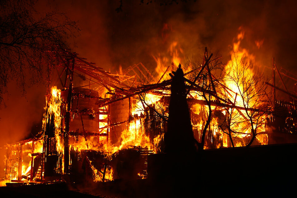 Ein Pferd kam im Feuer ums Leben, die Pächterin des Hofs wurde verletzt. (Symbolbild)