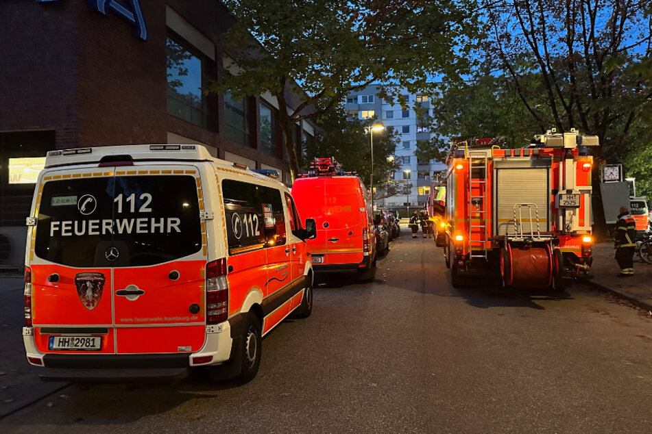 Hamburg: Balkonbrand breitet sich auf Wohnung aus: Bewohner retten sich, Katze stirbt